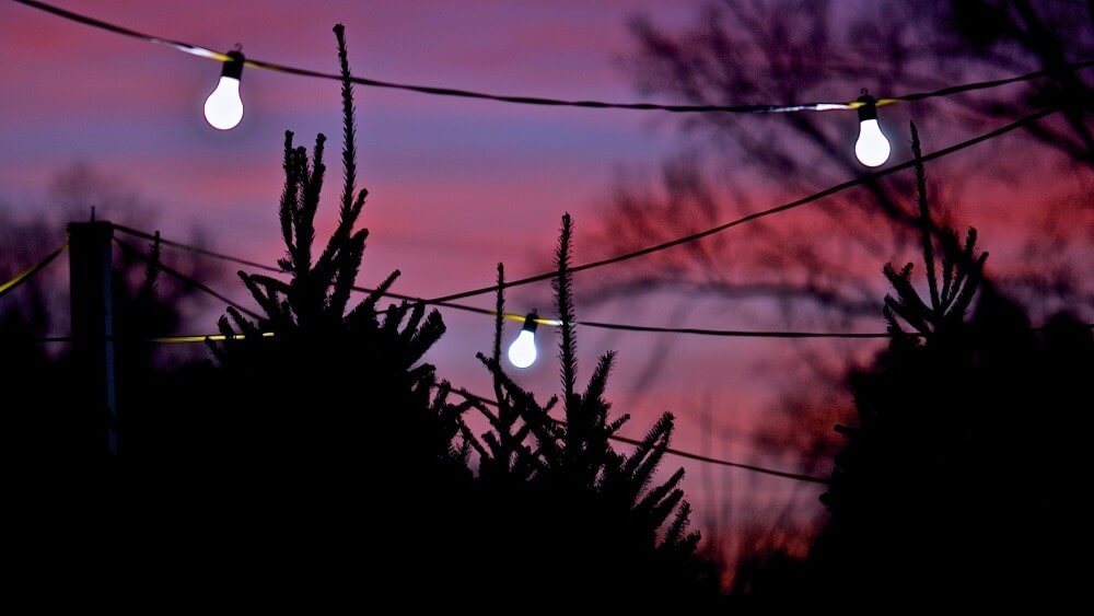 Christmastrees Asheville Goods