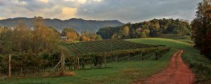 Bicycle in Asheville Through Rural Farmland