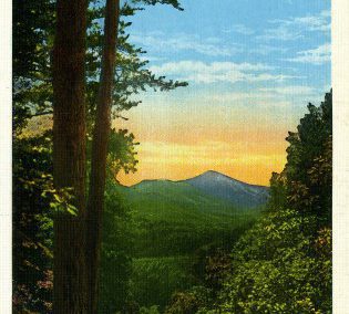 Mount Pisgah Postcard Reproduction