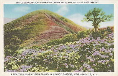 Craggy Gardens Postcard